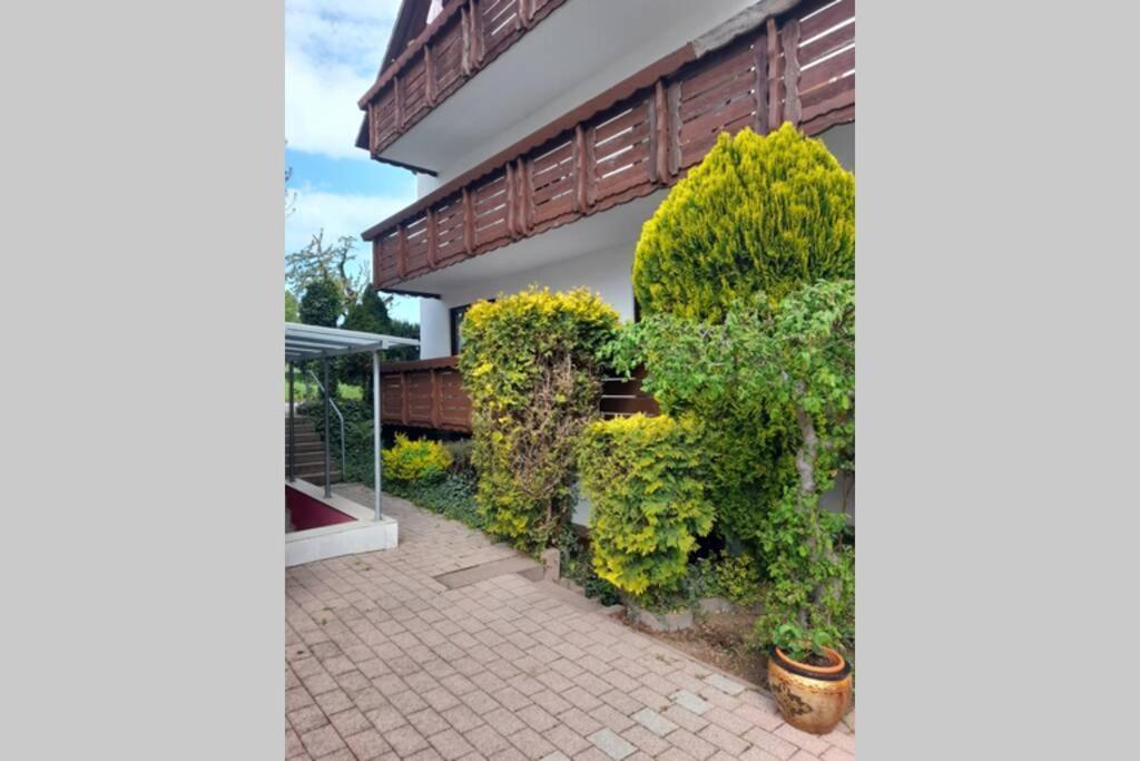 Souterrain Wohnung In Bensheim Bagian luar foto